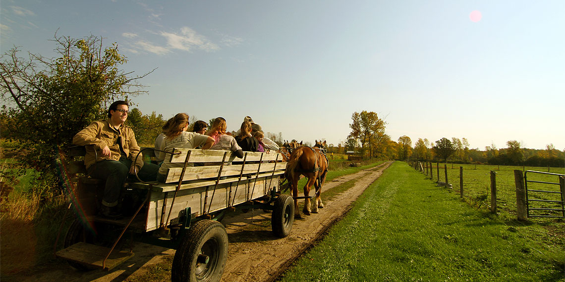 CD farm wagon